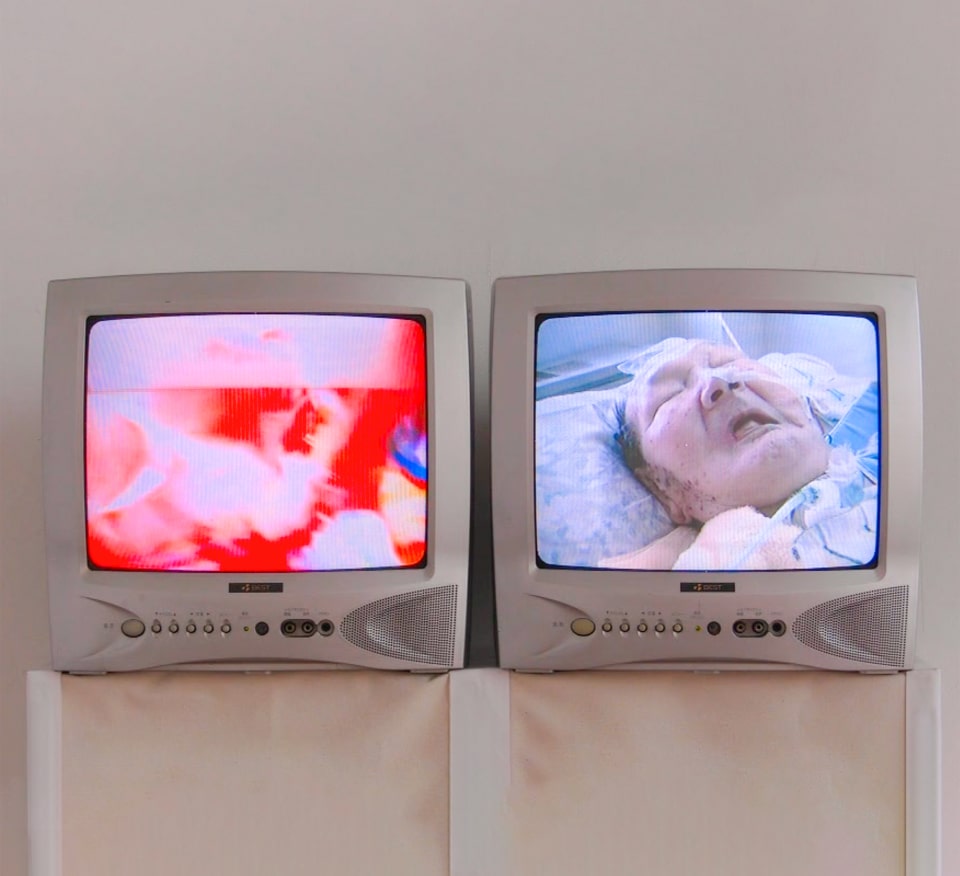 太田翔太の作品画像