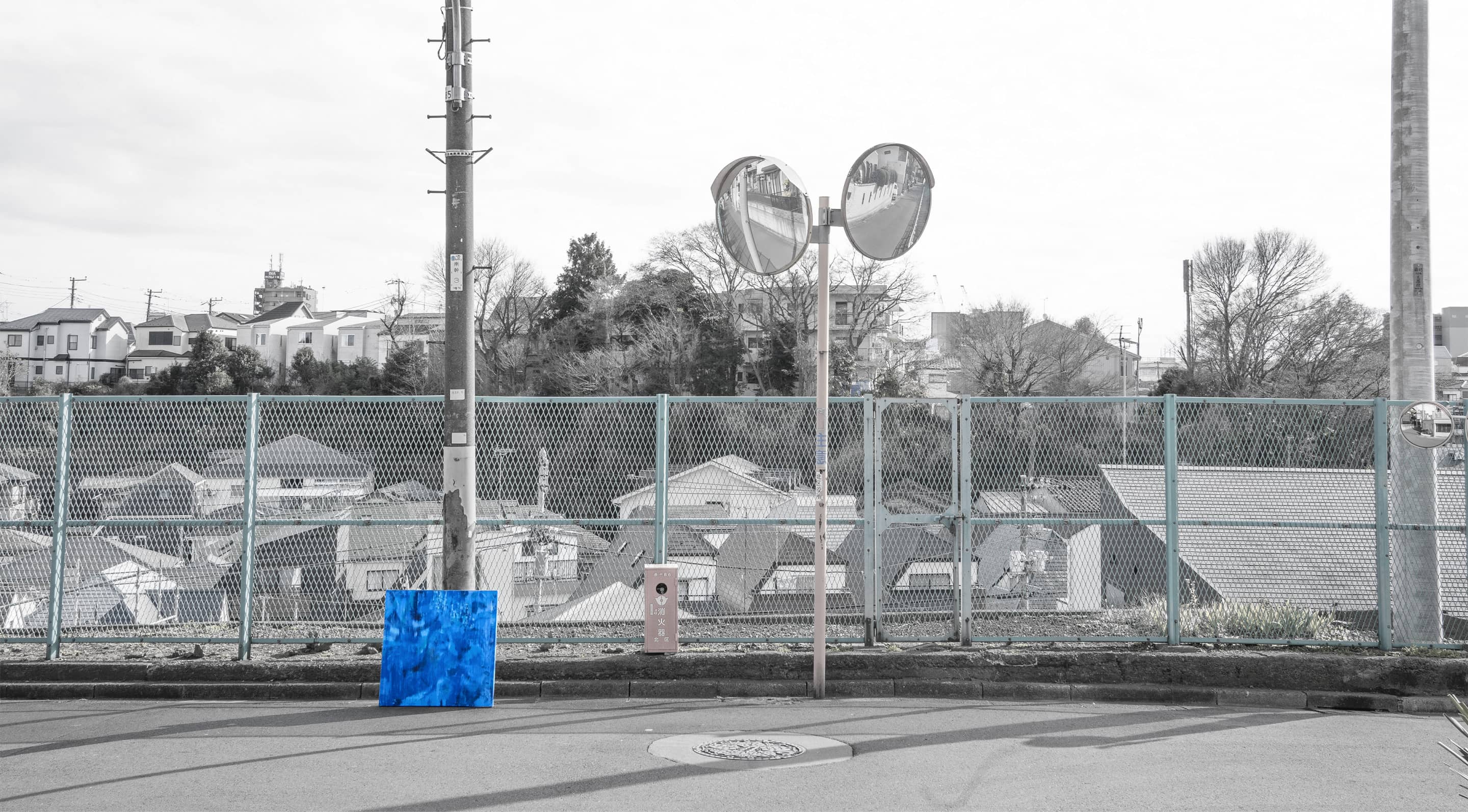 作品の展示風景